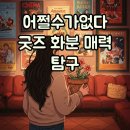 화분인간 | 어쩔수가없다 굿즈, 화분까지 200만 돌파 영화 후기