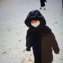 남목, 명성몬테소리어린이집 | 분당 몬테소리 유치원 입학,교육일정과 수업시간
