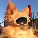 (주)아성다이소 분당미금(역)점 | [분당]분당 성인수영 강습 추천, 야탑 돌핀수영/직장인수영 2개월 솔직후기