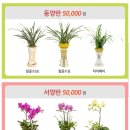 쌍호플라워꽃배달근조화환축하화환
