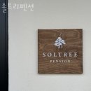 솔트리펜션