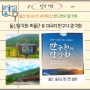 울산박물관 옥내 화장실 | 【 HO. 정보】울산암각화 박물관 &amp; 대곡리 반구대...관람안내 및 아이와 다녀온 후기 (울산 가볼 만한 곳)