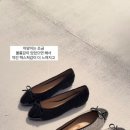 벨라쇼룸