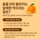귤먹어라