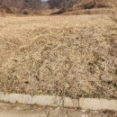 신양IC(청양)