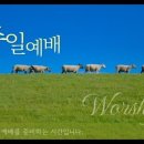 신창당구장 이미지