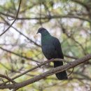 대왕암공원관리사무소 이미지