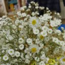 덕성세탁소 이미지