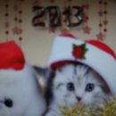 스펀지 부천점 이미지