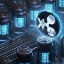 바이탈스코프(주) 이미지