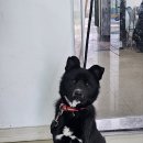 지에스25 청주삼성점