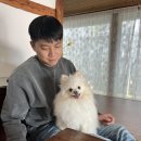 토르스테이 이미지