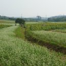 학원농장민박 이미지