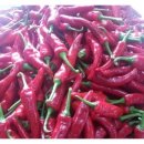 지후네 농장 이미지