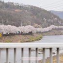 도평1리마을회관 이미지