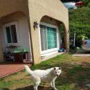 풍류마을펜션 이미지