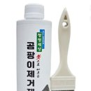 붓들로 | 욕실 타일 곰팡이 제거 붓으로 바르는 청정세상 곰팡이제거제 내돈내산 후기