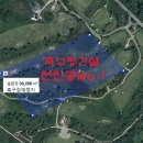 나무건설