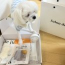 살롱드 오픈주 이미지