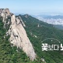[1002회] 생로병사의 비밀/[꽃보다 뇌 청춘] 나이가 들면 피부에 주름이 생기듯 뇌도 늙는다. 정보를 받아들이거나... 이미지