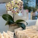 심기쁨한의원 이미지