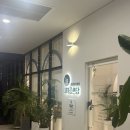 내마음 쓰담쓰담 이미지