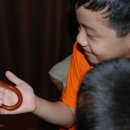 나비농장 이미지