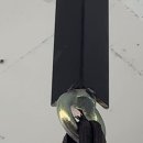 WS복싱클럽(김포장기점) 네이버블로그
