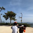 킥복싱무에타이투엑스짐 | 왕십리 무에타이 & 킥복싱 피어리스짐, 응봉산 야외훈련 후기