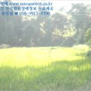 홍원3리마을회관 이미지