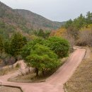 여수봉황산자연휴양림 이미지