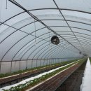 논산25시불가마사우나 이미지