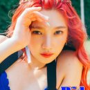헤어미고 이미지