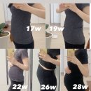 이대도치 | [임신일기] 29주-34주 점점 다가오는 출산일, 역아 이슈?!