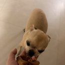 걷자의원 | 제왕절개 출산 후기｜수술부터 회복까지 솔직 기록