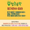 미래유학연수 이미지