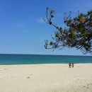 새동해바다 이미지