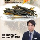 흑삼이야기