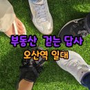 (저녁)실전 부동산 경매 완전정복 | [공지] 부동산 걷는 답사 오산대역 오산시청 일대 상권 ( 8/25 월, 저녁7시)