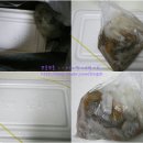삼양정육점 네이버블로그