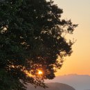 예울림 | 완도한옥펜션 예울림펜션 방문했던 추억 후기