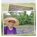 모현농장 이미지