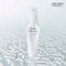 프로페셔널
