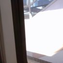 나의 행복을 위한 가족세우기 | 대충 기록해보는 대전 성심당 딸기 시루 구매 후기