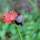 청해모텔 이미지