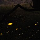 빌라드무주 이미지