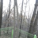 천마산약수터 이미지