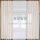 송당일경 | [송당일경] 제주 프라이빗 히노키탕 독채펜션