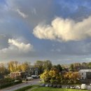 타나라운지 | 암스테르담 스히폴 공항 경유 후기 Aspire Lounge No.41 P.P카드 라운지 &amp; 명물 인간시계 🇳🇱