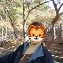 강천산 캠핑 이미지